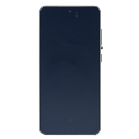 Samsung Galaxy S21 FE (G990B) Display Complete GH82-26420C - Green