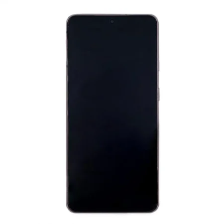 Samsung Galaxy S21 5G (G991B) (GH82-27255B / 27256B) Display Complete (No Front Camera) - Phantom Violet